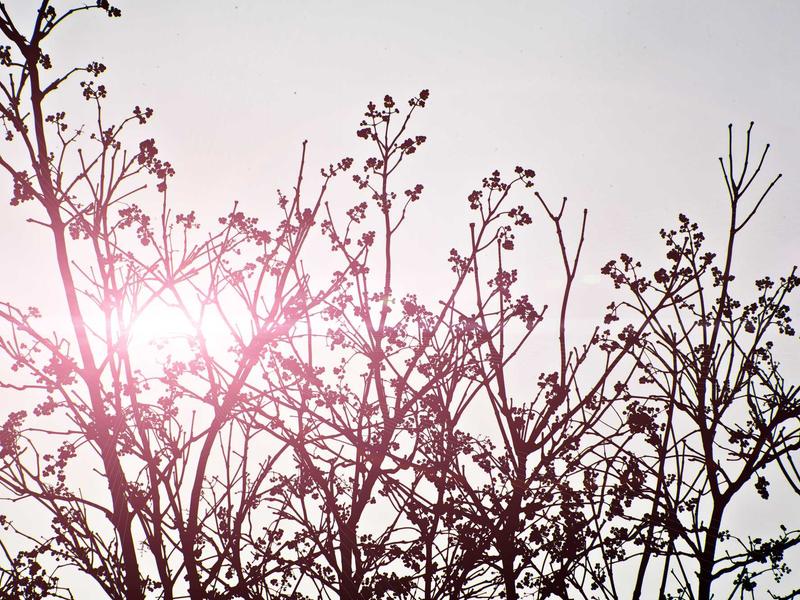 sudoku family sharing screenshot 3