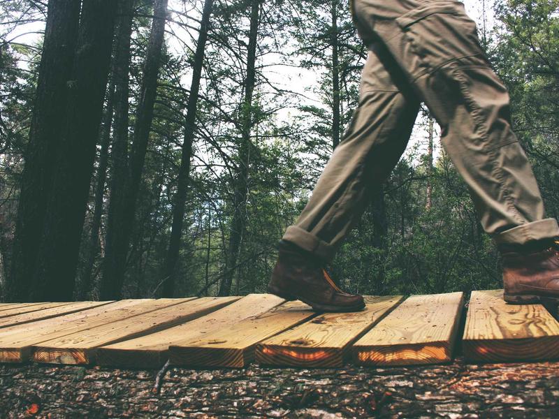 sudoku family sharing
